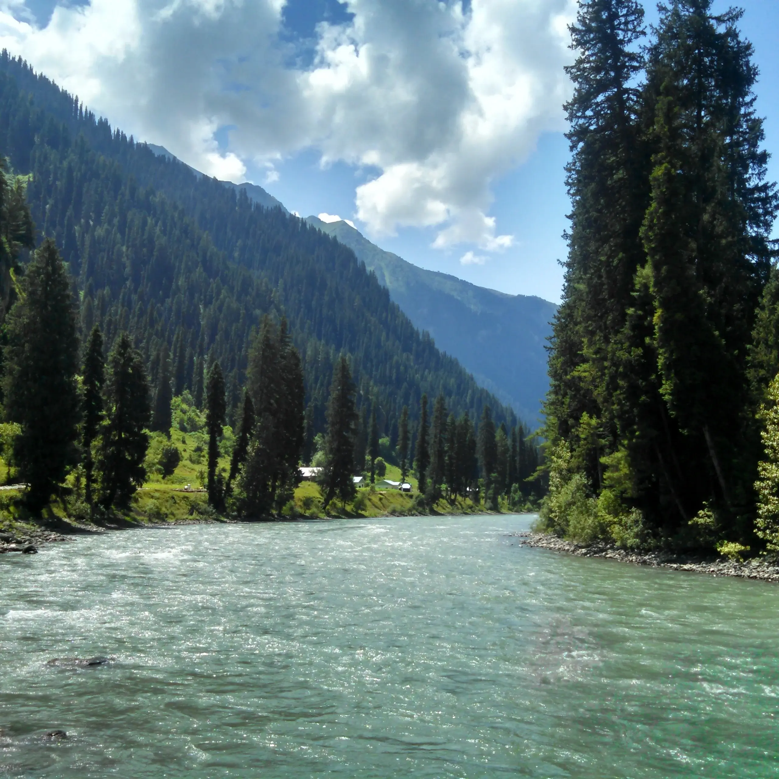 7 days kashmir trip