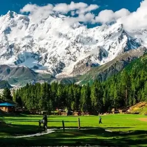 fairy meadows-min