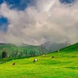 tourist attraction in naran valley